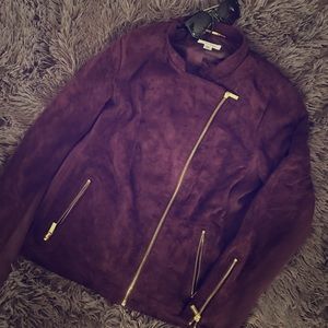 STUNNING Calvin Klein suede moto jacket